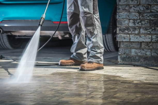 Best Winterizing Services  in Bokeelia, FL