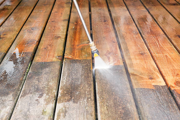Animal Enclosure Cleaning in Bokeelia, FL
